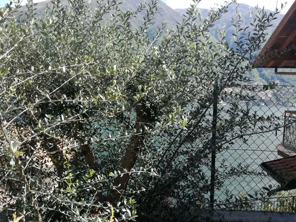 Plinio Rooms Laglio Italia